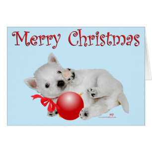 Westie Puppy Christmas Playtime