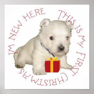 Westie Puppy Eerste Kerstmis Poster