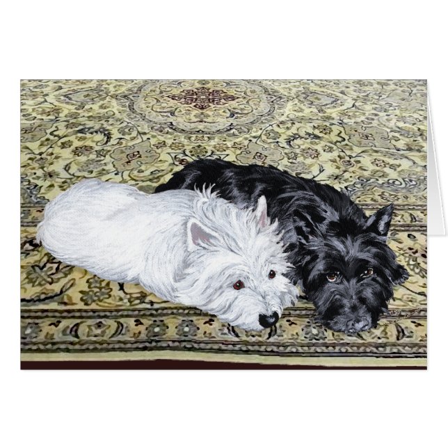 Westie & Scottie au repos (Devant horizontal)