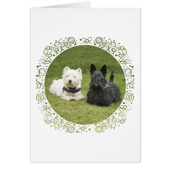 Westie & Scottie Gazon Vert (Devant)