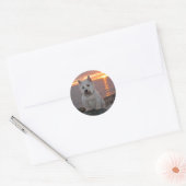 Westie Sunset Ronde Sticker (Envelop)