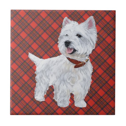 Westie sur carreau tartan (Devant)