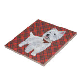 Westie sur carreau tartan (Côté)