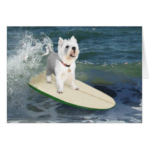 Westie Surfer