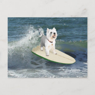 Westie Surfer Briefkaart