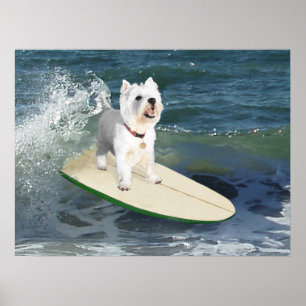 Westie Surfer Poster
