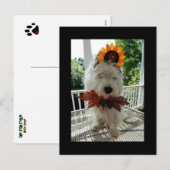 Westie Thanksgiving Turkey Bowtie Feestdagenkaart (Voorkant / Achterkant)