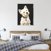 Westie (West Highland shiier) met halsband Canvas Afdruk (Insitu (Slaapkamer))