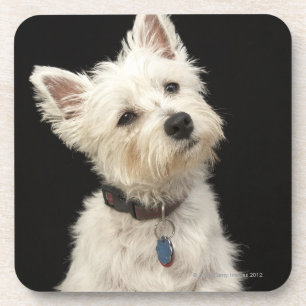 Westie (West Highland shiier) met halsband Drankjes Onderzetter