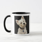 Westie (West Highland shiier) met halsband Mok (Links)