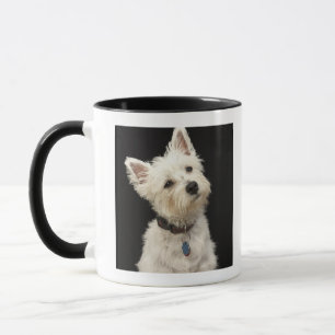 Westie (West Highland shiier) met halsband Mok