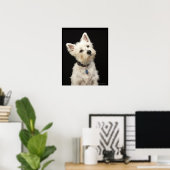 Westie (West Highland shiier) met halsband Poster (Thuiskantoor)