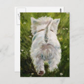 Westie West Highland Terrier Post Card Briefkaart (Voorkant / Achterkant)