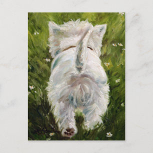 Westie West Highland Terrier Post Card Briefkaart