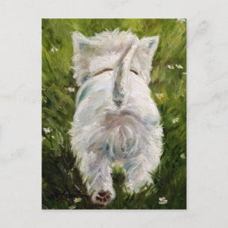 Westie West Highland Terrier Post Card Briefkaart