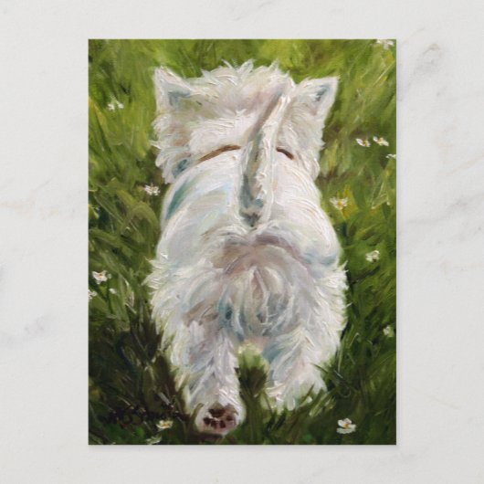 Westie West Highland Terrier Post Card Briefkaart (Voorkant)