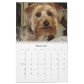 Westie/Yorkie créatif calendrier de 12 mois (Mar 2027)