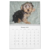 Westie/Yorkie créatif calendrier de 12 mois (Jan 2026)