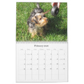 Westie/Yorkie créatif calendrier de 12 mois (Feb 2026)