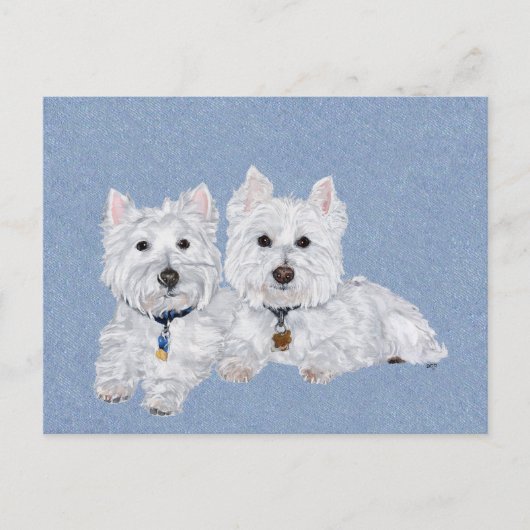 Westies Briefkaart (Voorkant)