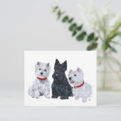 Westies en een Scottie Samen Briefkaart (Staand voorkant)