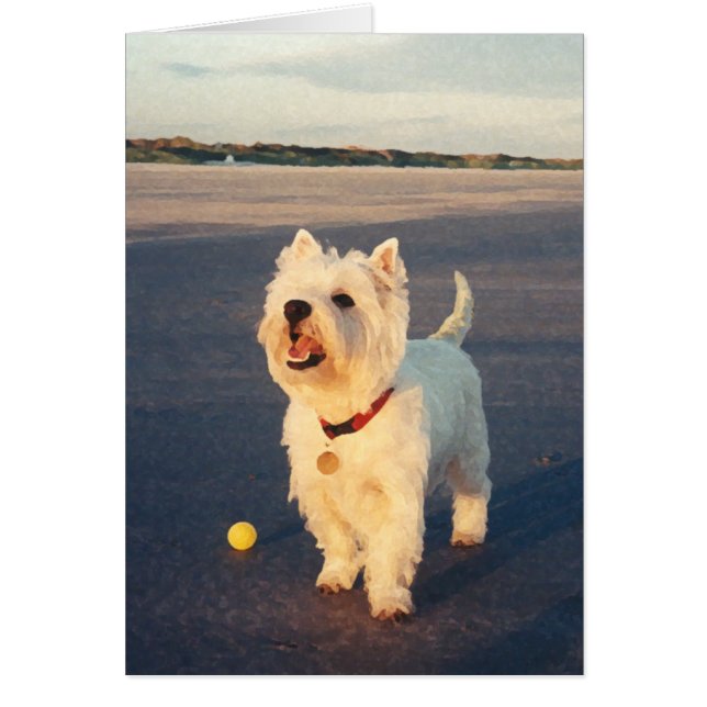 Westies et l'océan (Devant)
