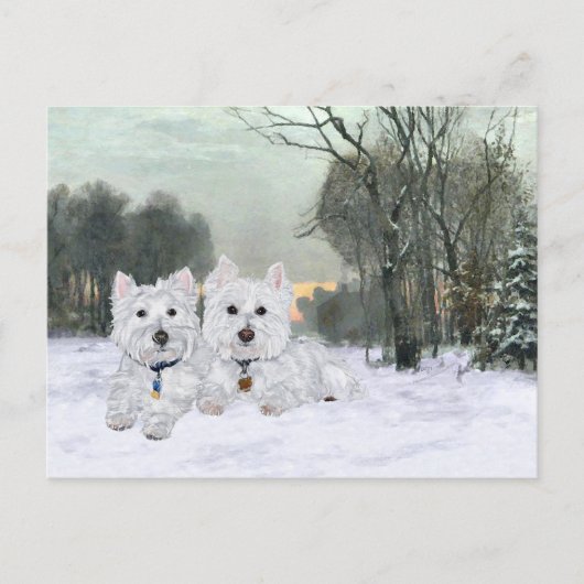 Westies in de wintertijd briefkaart (Voorkant)
