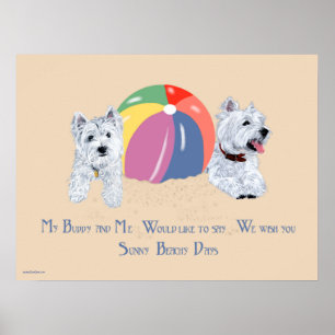 Westies met een strandbalposter poster