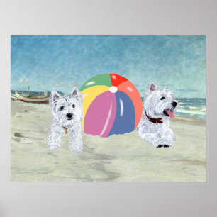 Westies met een strandbalposter poster