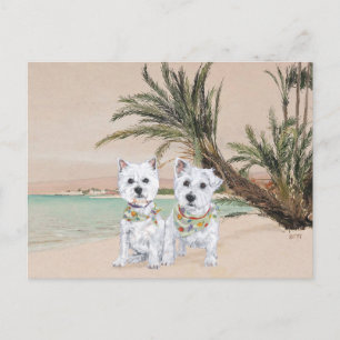 Westies op een zonnig strand briefkaart
