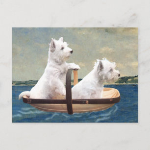 Westies Set Sail Briefkaart