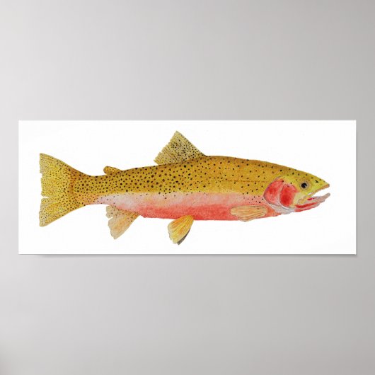Westslope Cutkeel Trout Waterverf Poster (Voorkant)