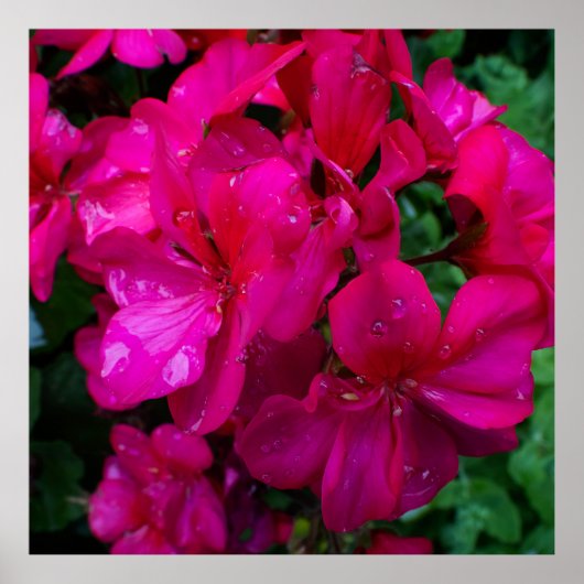 Wet Floral Poster (Voorkant)