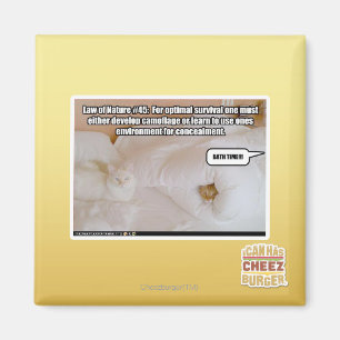 Wet van de Natuur #45 Magneet