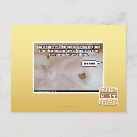 Wet van Natuur #45 Briefkaart (Voorkant)