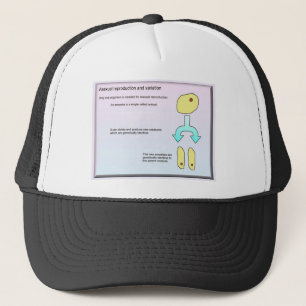 Wetenschap, Amoba Trucker Pet