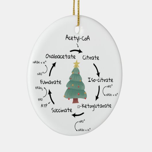 Wetenschap Biologie Krebs Cyclus Kerstmis Leraar N Keramisch Ornament (Rechts)