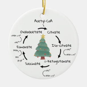 Wetenschap Biologie Krebs Cyclus Kerstmis Leraar N Keramisch Ornament