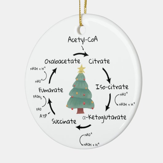 Wetenschap Biologie Krebs Cyclus Kerstmis Leraar N Keramisch Ornament (Links)