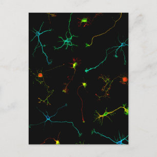 wetenschap briefkaart