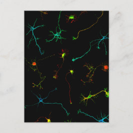 wetenschap briefkaart