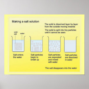 Wetenschap, Chemie, Zoutoplossing maken Poster