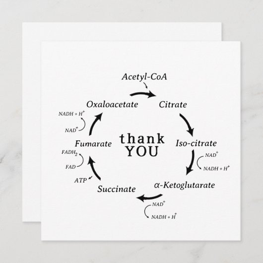 Wetenschap Dank je leraar Kreb's Cyclusbiologie (Voorkant / Achterkant)