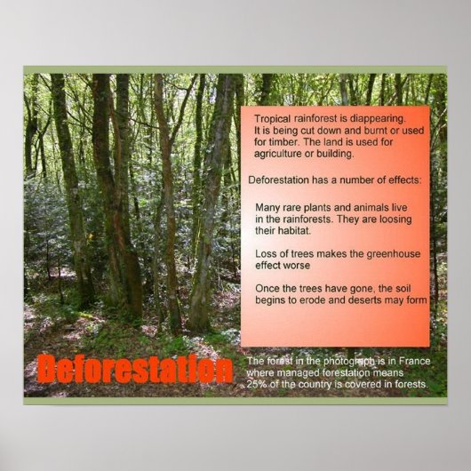 Wetenschap- en natuurwetenschappen poster (Voorkant)