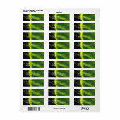 wetenschap Fiction Green Planet w Spaceship Etiket (Full Sheet)