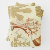 Wetenschap leerboek Biologie, koraaldieren Inpakpapier Vel (In situ)