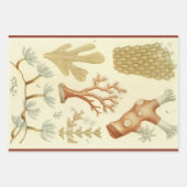 Wetenschap leerboek Biologie,  koraaldieren Inpakpapier Vel (Voorkant)