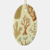 Wetenschap leerboek Biologie, koraaldieren Keramisch Ornament (Rechts)