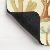 Wetenschap leerboek Biologie, koraaldieren Muismat (Hoek)