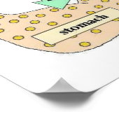 Wetenschap, menselijk lichaam, gisting poster (Hoek)